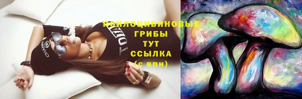 дживик Верея