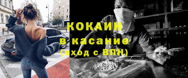 дживик Верея
